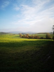 Obraz premium sunset over green field