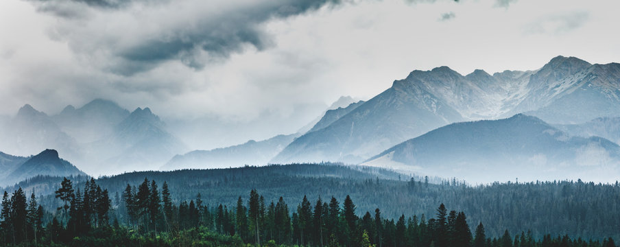 Fototapeta Mountain peaks in clouds and fog. Tatra Mountains, Poland.