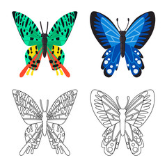 Vector design of exotic and botanic symbol. Collection of exotic and tropics stock symbol for web.