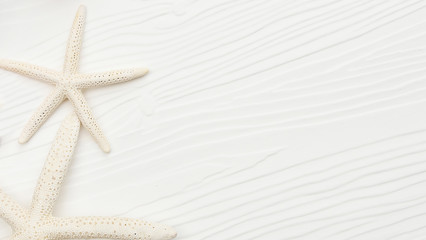 Fototapeta na wymiar close up of starfish on white wooden background