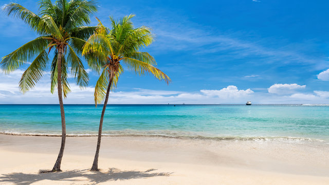 Tropical sunny beach with coco palms and the turquoise sea on Jamaica Caribbean island.