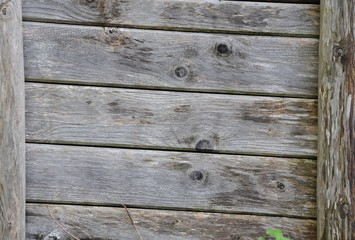 Obraz premium Parete di legno 