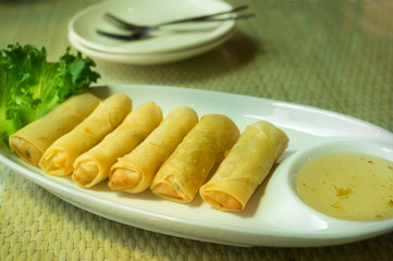 Spring rolls with vegetable on white plate.