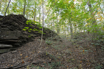 Rocks in the Forest in Freudental, South of Germany