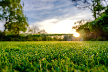 Sunset view of a large, well maintained large garden seen in early summer, showing the distant sun about to set, producing a warm light just before dusk. The grass has recently been cut. - Powered by Adobe