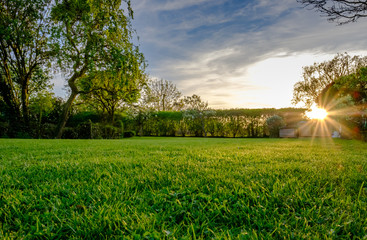 Sunset view of a large, well maintained large garden seen in early summer, showing the distant sun...