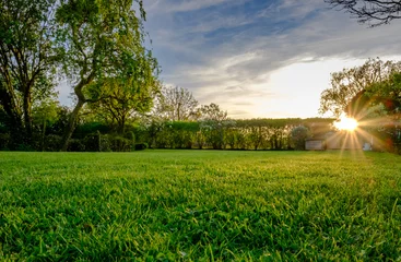 Fotobehang Uitzicht op de zonsondergang van een grote, goed onderhouden grote tuin, gezien in de vroege zomer, met de verre zon die op het punt staat onder te gaan en een warm licht produceert net voor de schemering. Het gras is onlangs gemaaid. © Nick Beer