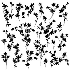 美しいベクター花素材