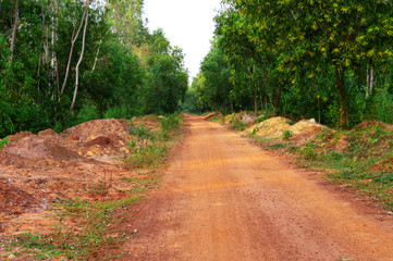 soil made rural way have gone inside the village and forest or jungle under sky, green trees with yellow flowers, clean and clear Indian natural rural village scenery, red soil road 