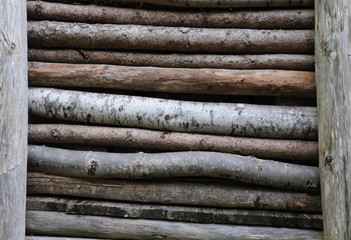 Parete di tronchi 