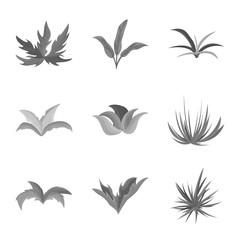 Isolated object of foliage and floral icon. Set of foliage and summer stock symbol for web.