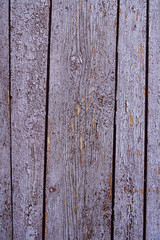 Vintage wood background with peeling paint, purple color