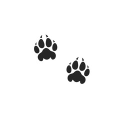 Lion paw print. Wild animal © Aleksei_7799