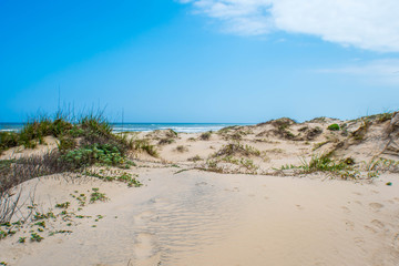 A beautiful soft and fine sandy beach along the gulf coast of South Padre Island, Texas