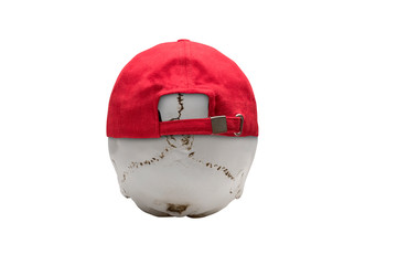 Rear view of Human skull wearing a red hat