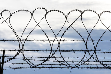 Barbed Wire sky background