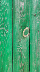Texture of weathered wooden green painted fence