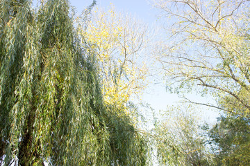 Yessentuki city lake