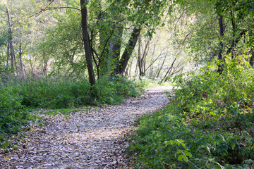 Yessentuki city lake