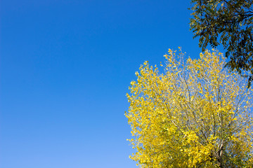 Yessentuki city lake