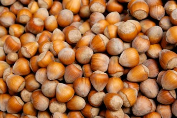 hazelnuts as heaalthy vegetarian food and condiment