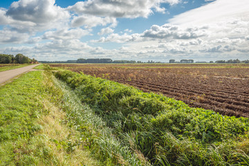 Rural Dutch landscape in autumn