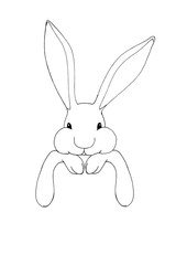 Rabbit sketch, outline portrait white isolated