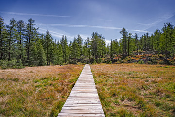 Fototapeta na wymiar Panoramic view of an alpine valley with a walkway that allows you to cross a marsh.