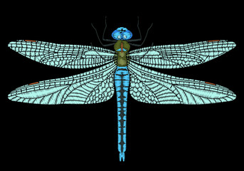 Cute Vector Embroidered dragonfly for fashion design.