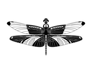 Black vector dragonfly icon isolated on white background,