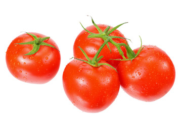 branch of fresh tomatoes isolated on white background