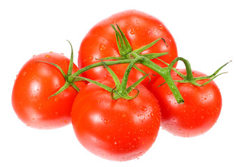 branch of fresh tomatoes isolated on white background