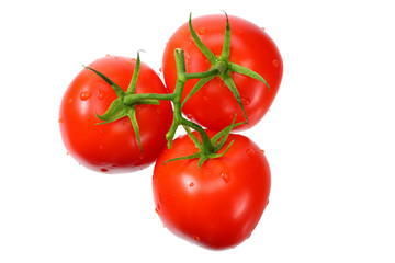 fresh tomatoes isolated on white background. top view