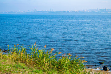 lake shore view on a sunny day