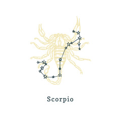 Zodiacal constellation of Scorpion on background of drawn symbol in engraving style.Vector illustration of sign Scorpio. © vladayoung