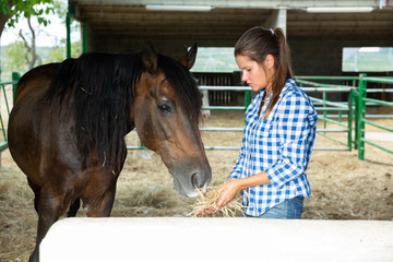 Young woman caring for horses