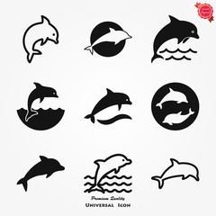 Dolphin icon, aquatic mammal vector icon for animal apps and websites