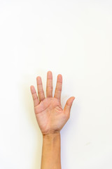 hand isolated on white background with five fingers counting number five palm