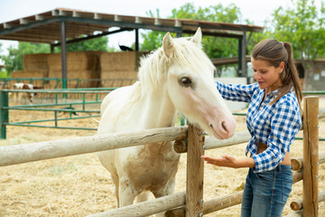Female farmer feeds horse in the corral