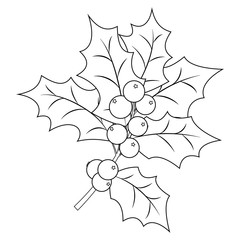 Coloring book page for adults and children. Christmas Holly Berry branch with leaves. Vector illustration.
