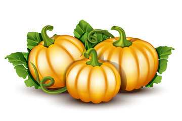 Pumpkins with leaves isolated on white background