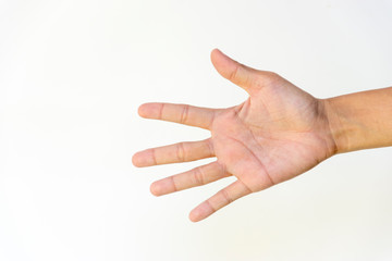 hand palm isolated white background five, paper symbol icon