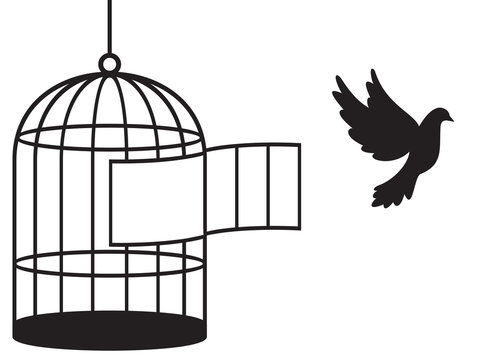 3,841 BEST Bird Cage Cartoon IMAGES, STOCK PHOTOS & VECTORS | Adobe Stock