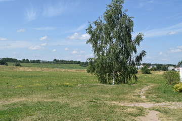Fototapeta premium Russian landscape with birch in the foreground. Suzdal, Russia.