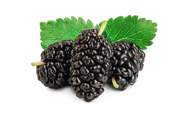 Mulberry with leaf isolated on white background