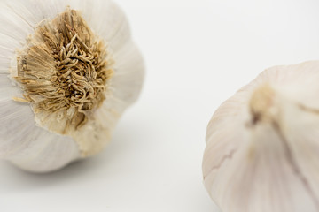 Close-up, shallow focus of whole dried Garlic bulbs showing detail of the root area of these organic grown Garlic bulbs seen on a kitchen table, ready for cooking.