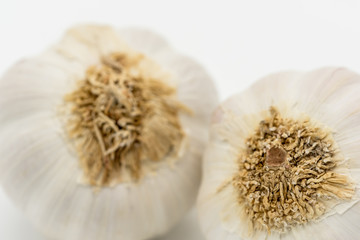 Close-up, shallow focus of whole dried Garlic bulbs showing detail of the root area of these organic grown Garlic bulbs seen on a kitchen table, ready for cooking.