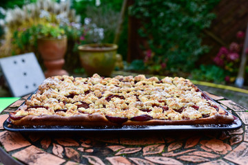 Zwetschgenkuchen backen