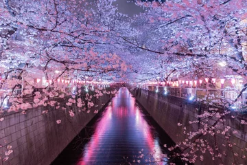 Wandcirkels tuinposter 目黒川の満開桜 © Daigo Kakazu
