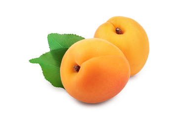 Apricot fruit isolated on white background macro